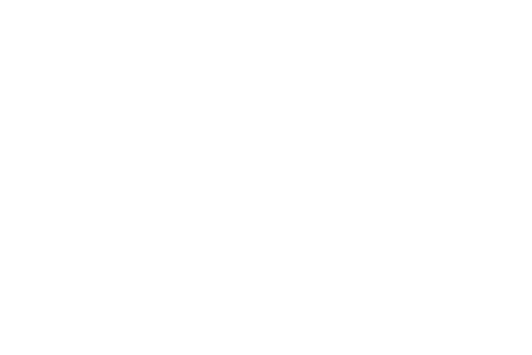 hawkins logo