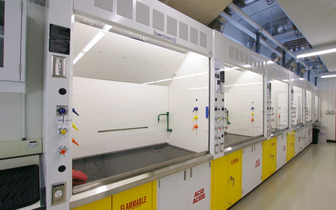Row of fume hoods with yellow safety cabinets in a teaching laboratory