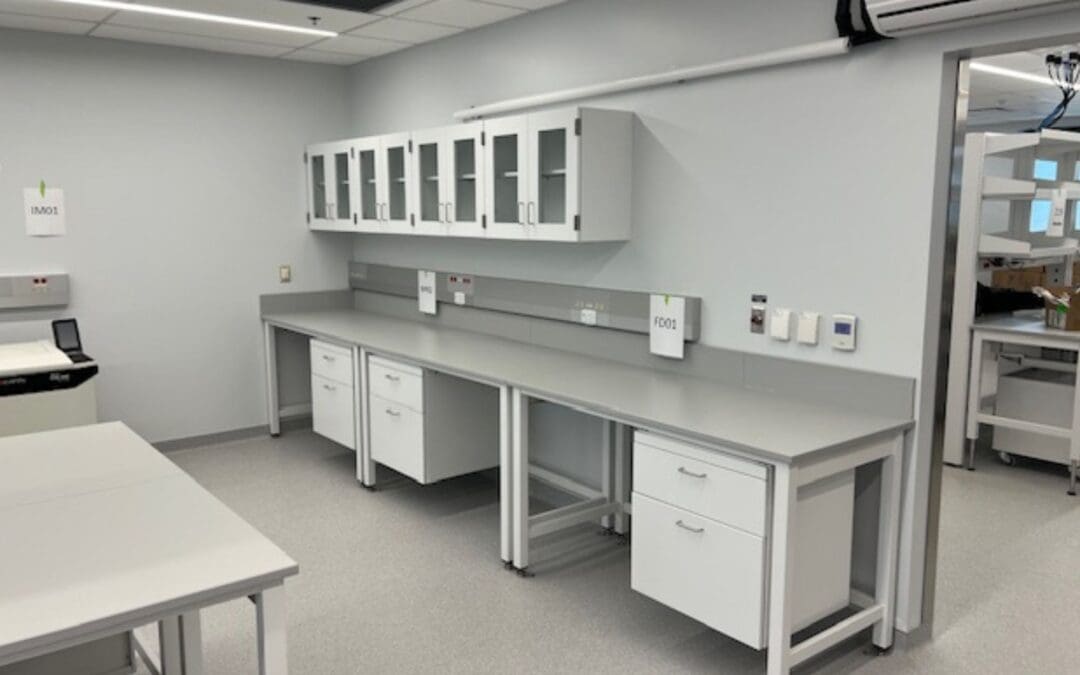 Questions to Ask Before Choosing a Laboratory Furniture Supplier