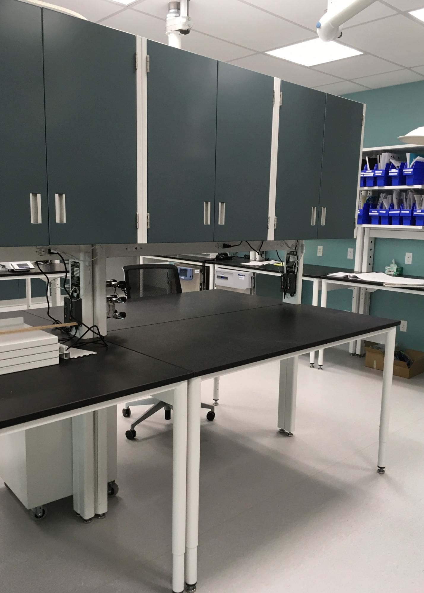Laboratory benches with dark casework and black work surfaces