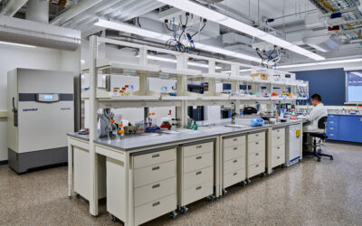 What Is SEFA and Why It Matters in Laboratory Furniture